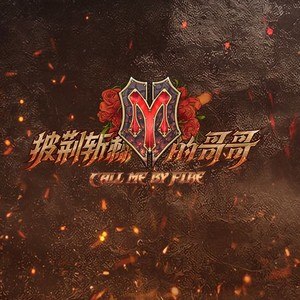 专辑披荆斩棘的哥哥的封面