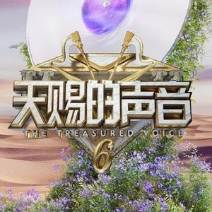 专辑天赐的声音第六季的封面