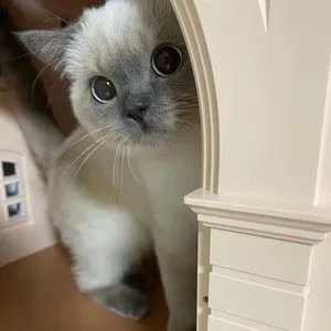 歌手杨瑜婷的图片