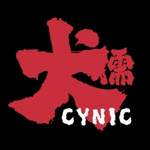 伴奏皮囊的封面