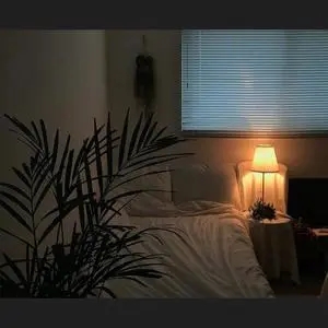 歌手原来是歪的图片