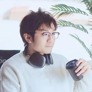 歌手菲利Ferry的图片