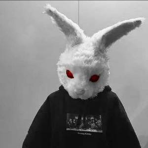 歌手暴躁的兔子的图片