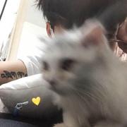 伴奏天上飞(重拍结尾)实录懒人版两段一样细节韵脚合声铺垫高清立体声320K精品说唱（高品质）的封面