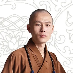 伴奏放下  伴奏 高品质 +1的封面