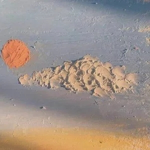 歌手深海鱼子酱的图片