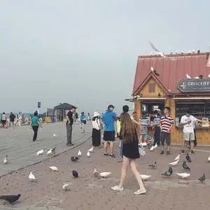 歌手Kiniyo的图片