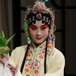 伴奏牡丹亭Live 精消纯伴奏的封面