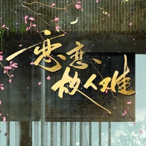 歌手恋恋故人难的图片