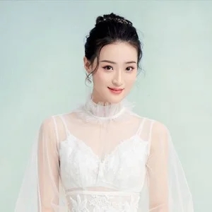 歌手张会芳的图片