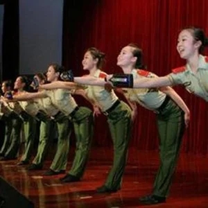 歌手战士歌舞团的图片