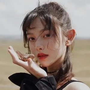 伴奏记忆博物馆的封面