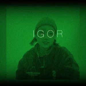 歌手IGOR的图片