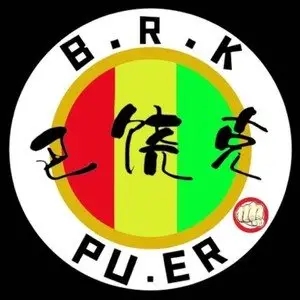 歌手巴饶克乐队的图片
