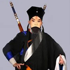 歌手严阵的图片