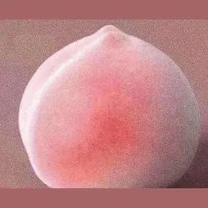 伴奏微醺时我们妄图触摸的东西的封面