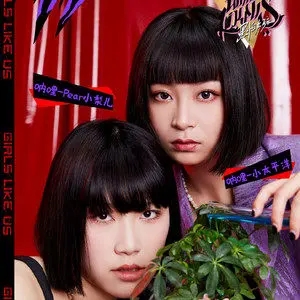 伴奏爱的迪斯科 (黑怕女孩) (精消带和声)的封面