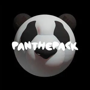 歌手PANTHEPACK的图片