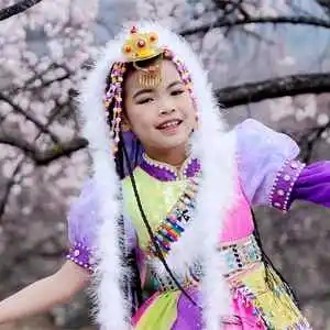 伴奏林芝姑娘的封面