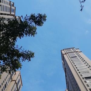 歌手王晓辉的图片