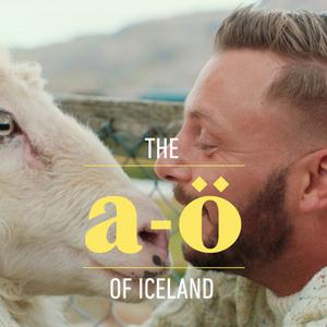 歌手Inspired by Iceland的图片