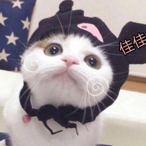 歌手你的上好佳的图片