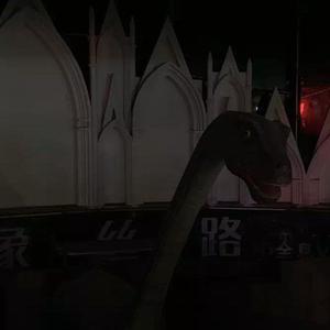 歌手sea蕊的图片
