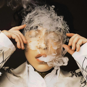 伴奏变色龙的封面
