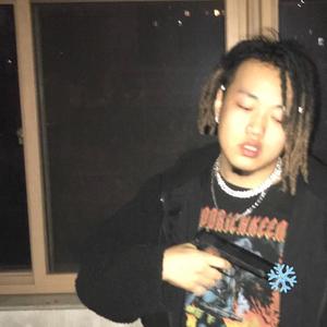 歌手卡力鲨鱼的图片