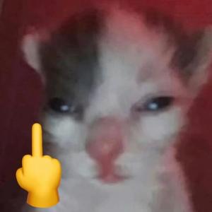 歌手李少博的图片