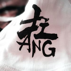 伴奏因为热爱 (精消无和声纯伴奏)的封面