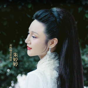 歌手朱婷婷的图片