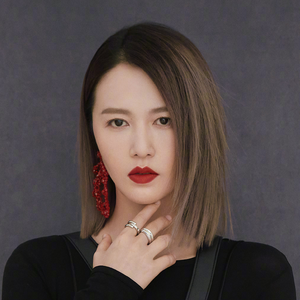 伴奏落叶 (精消带和声)的封面