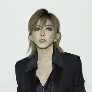 伴奏翅膀的封面