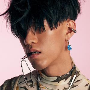 伴奏在这深夜里的封面