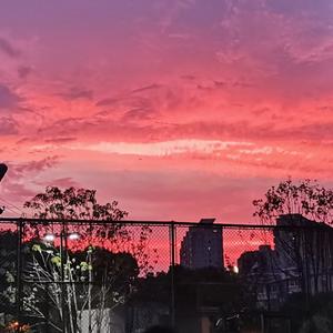 伴奏回信 beat的封面