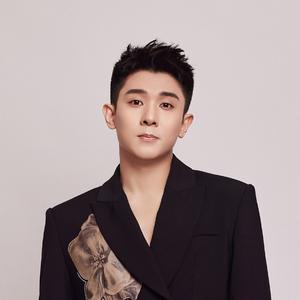 歌手马佳的图片