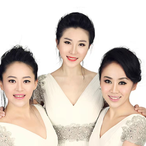 伴奏山楂树的封面