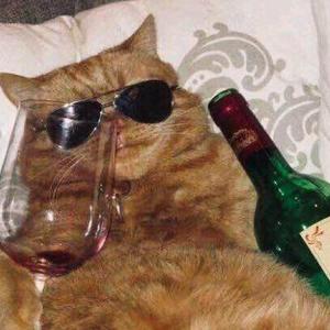 伴奏嚣张 (伴奏)-5的封面