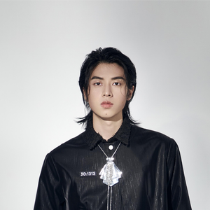 伴奏梦驼铃的封面