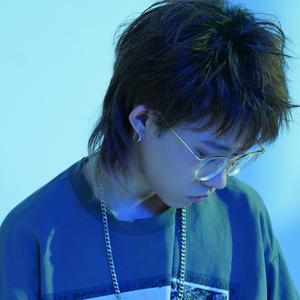 伴奏塞壬日记的封面