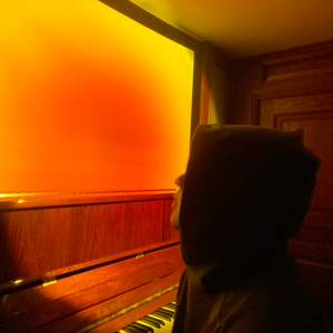 伴奏你的谎的封面