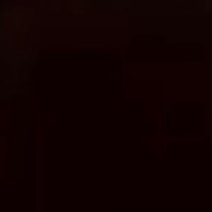 伴奏野人的封面