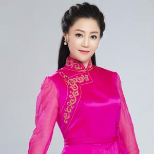 伴奏马兰花的封面