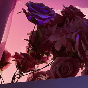 歌手邹沛沛的图片