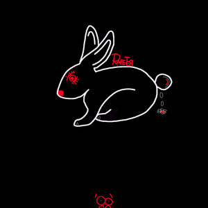 伴奏Shower (精消带和声)的封面