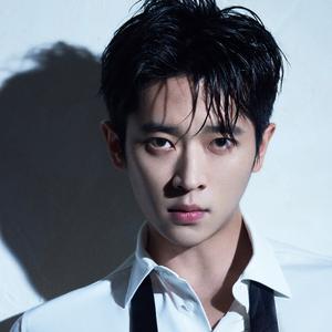 伴奏抚影的封面