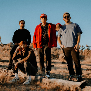 伴奏Stitches (Karaoke Version)的封面