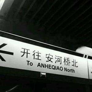 歌手十一的图片