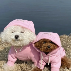 歌手是化为乌的图片